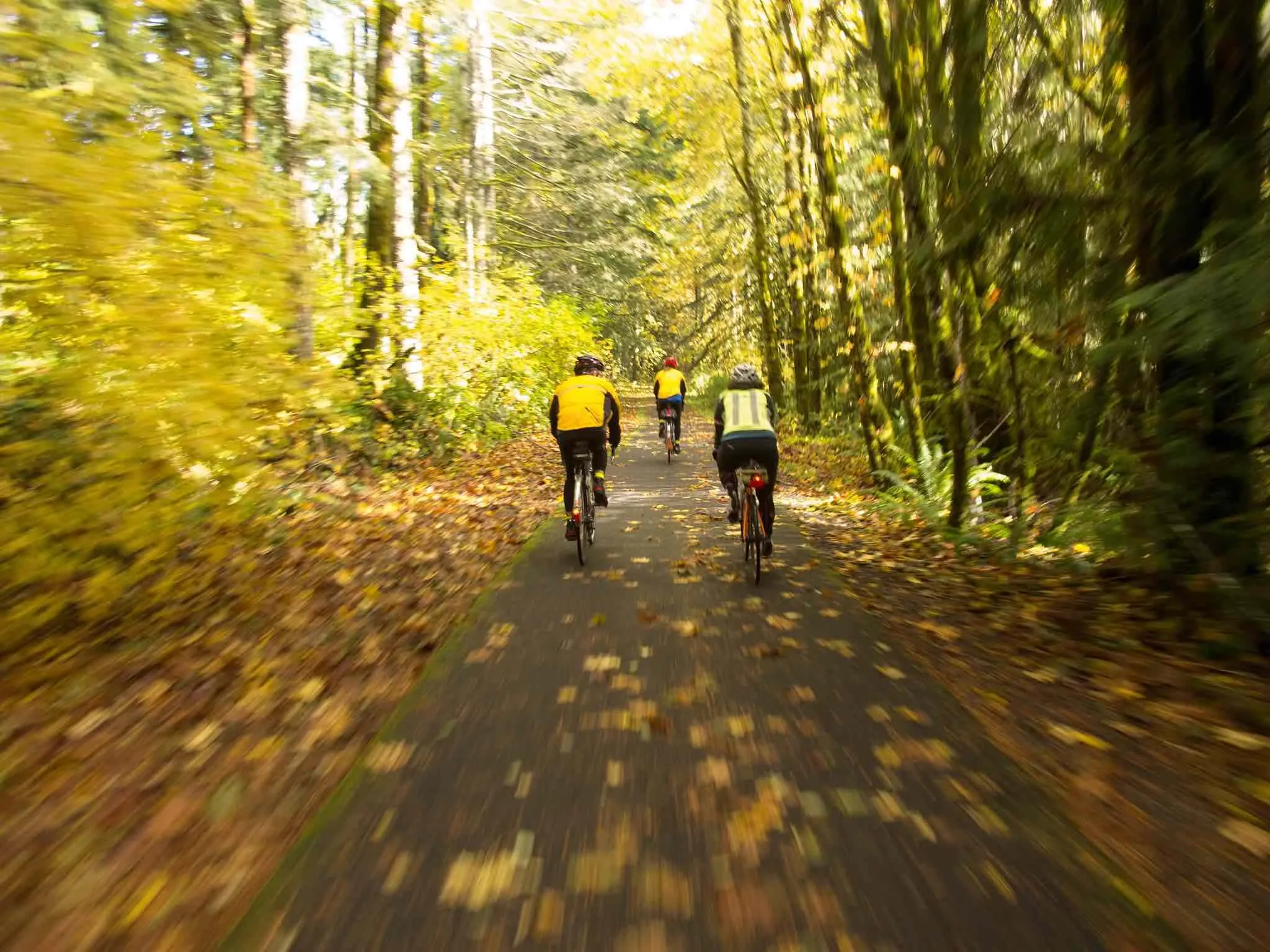 Banks Vernonia Trail Biking