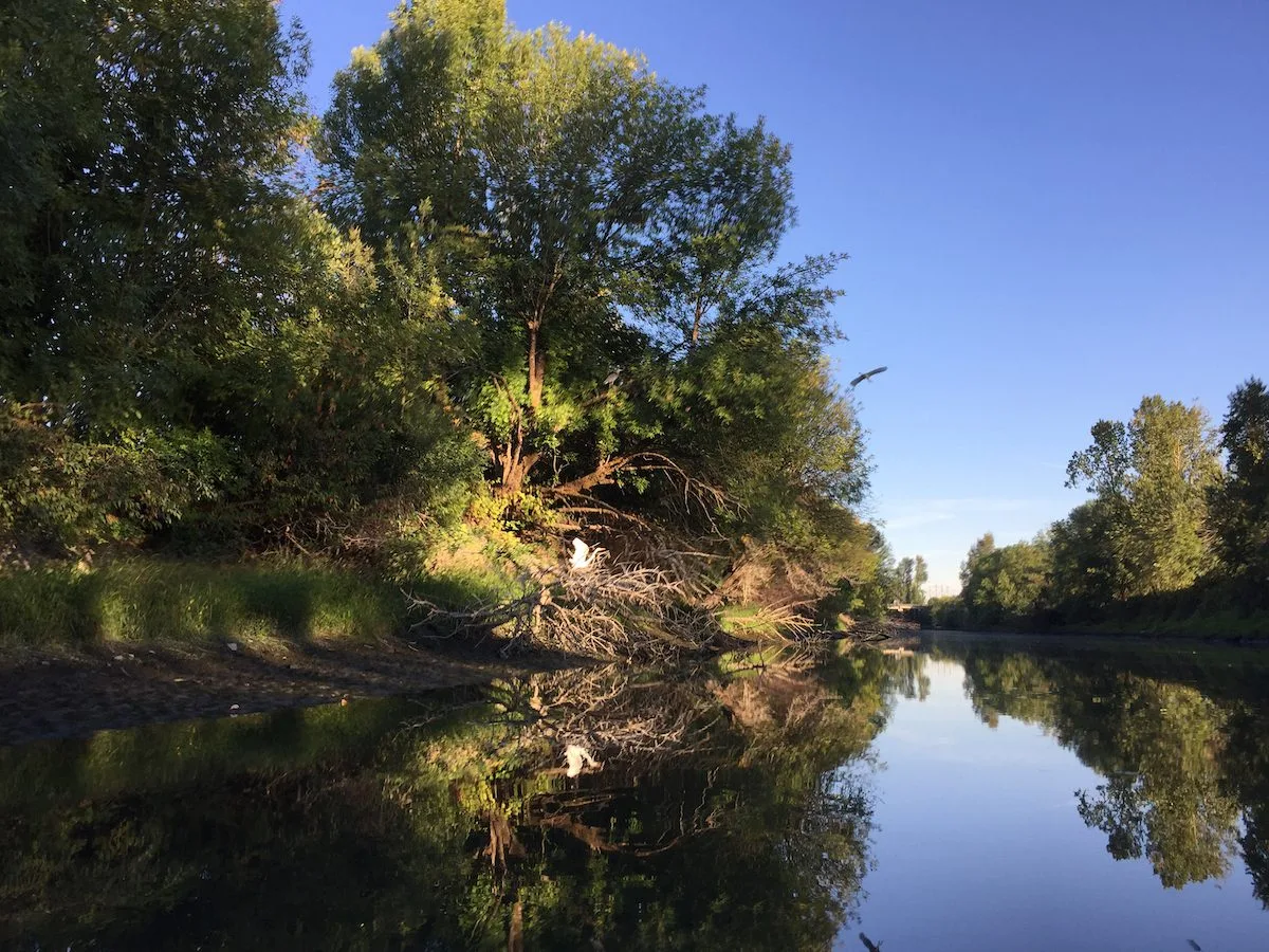 Columbia Slough Kayaking