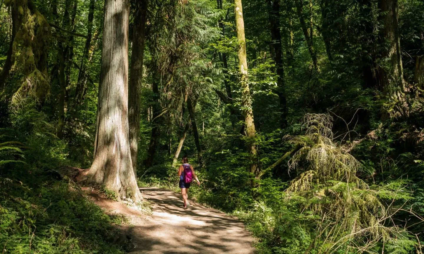 Forest Park Hiking