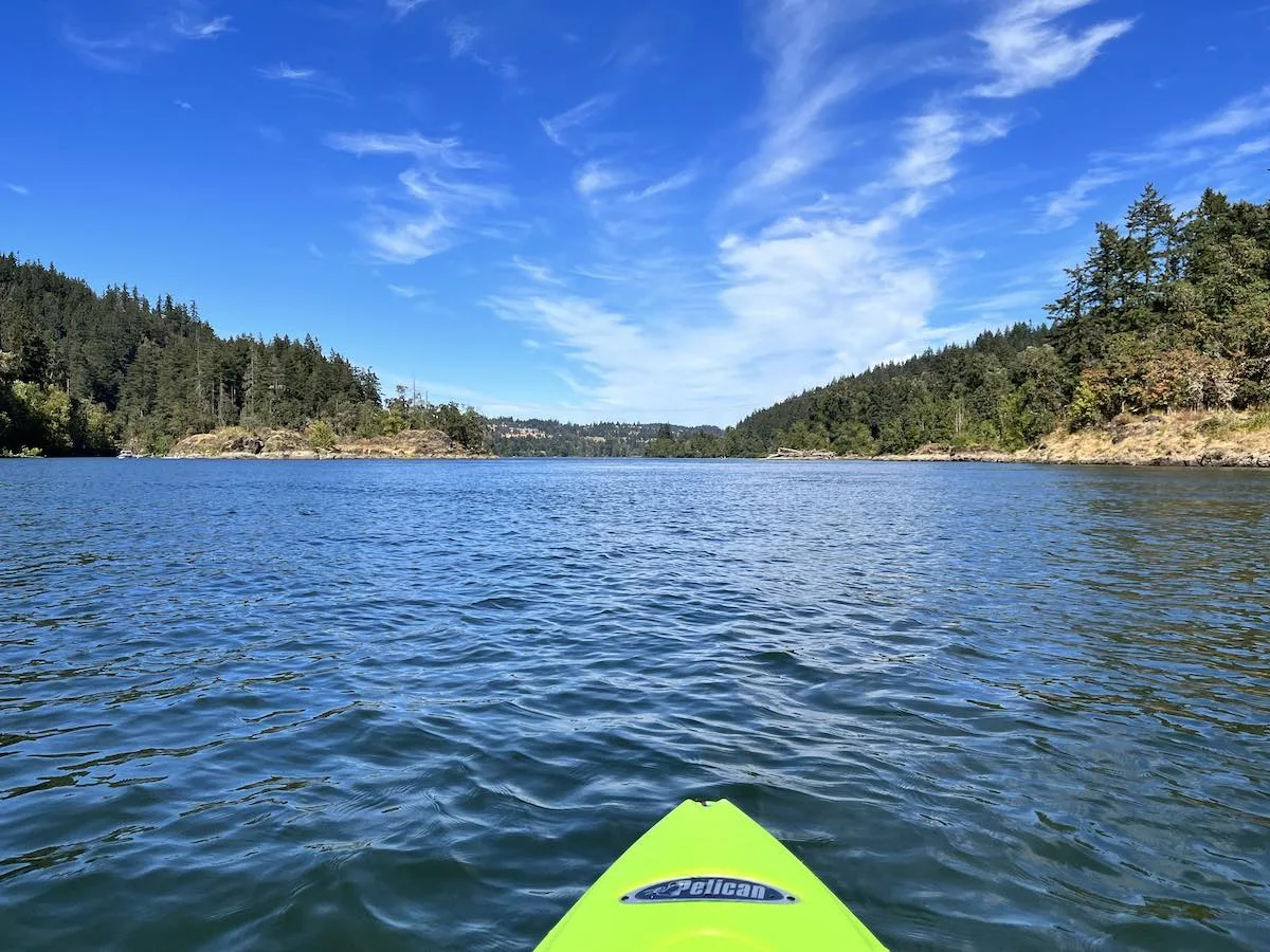 Kayaking West Linn Willamette River