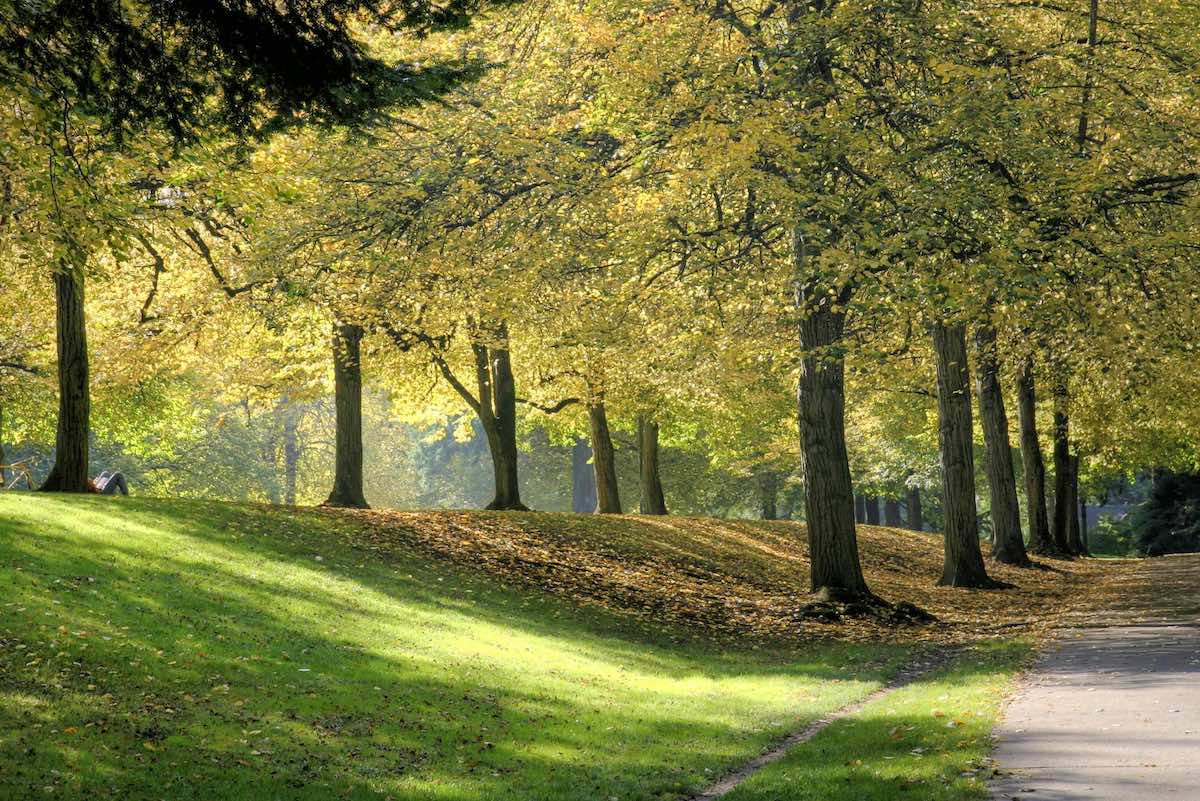 Laurelhurst Park