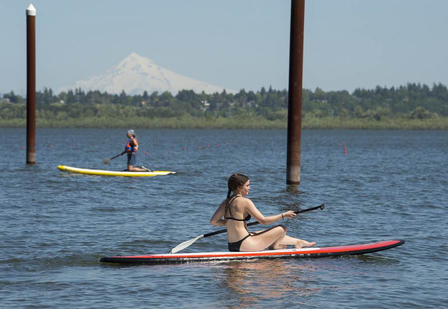 Vancouver Lake Paddle Boarding 