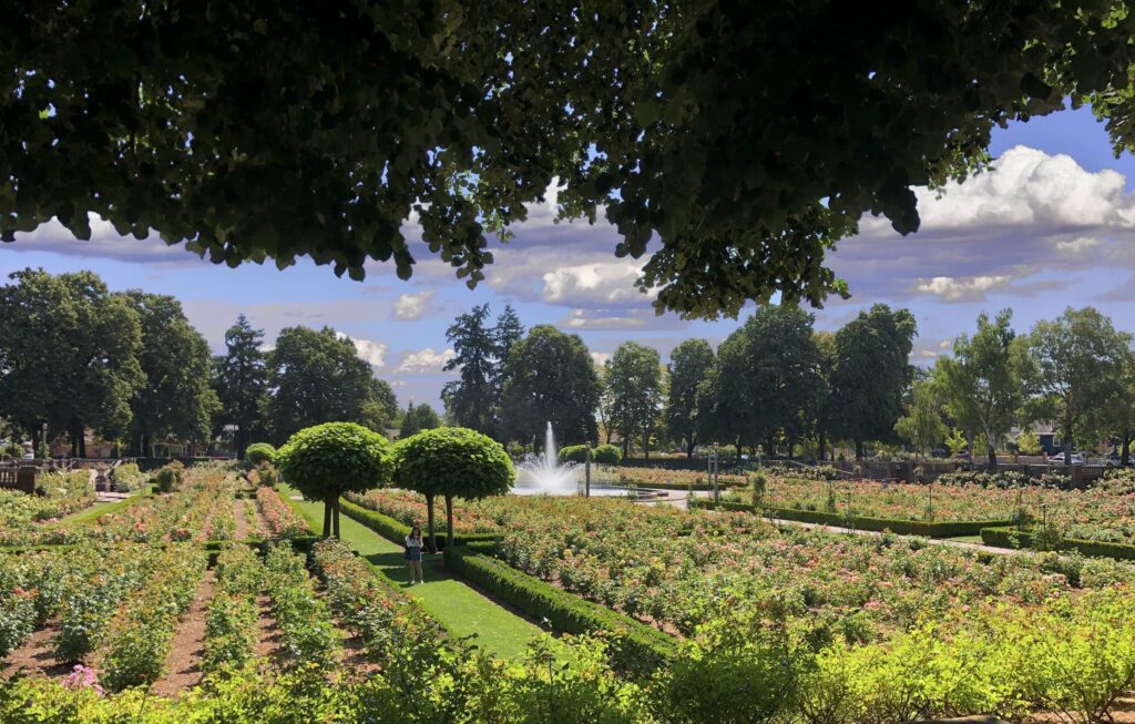 Peninsula Park Rose Garden