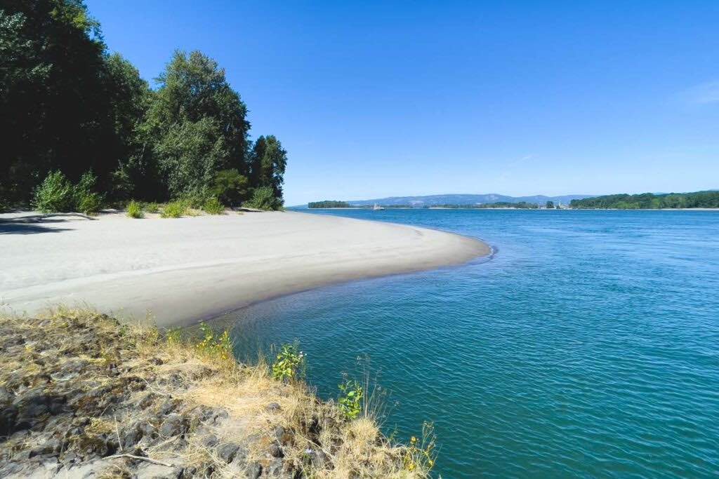 Sauvie Island Beach Swimming