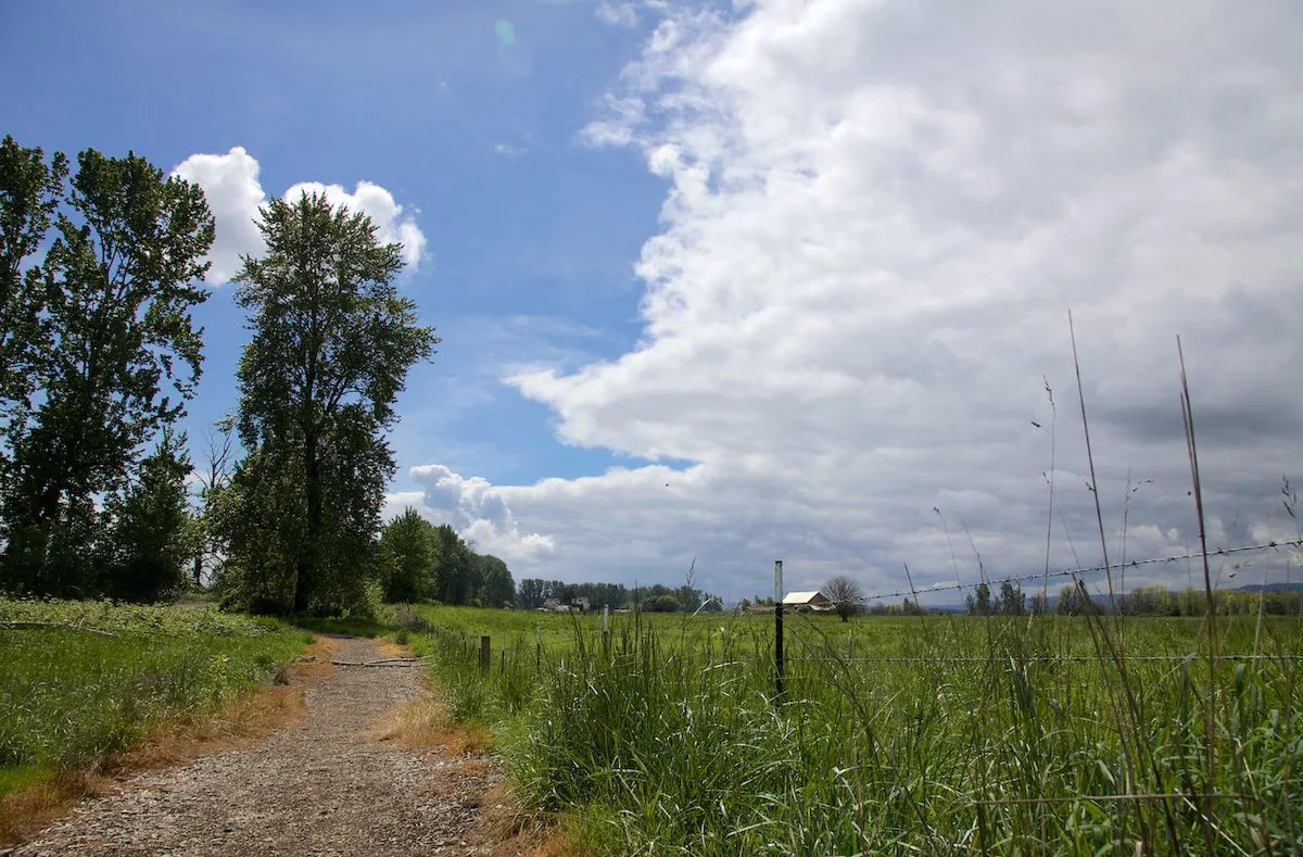 Warrior Rock Lighthouse Hike Sauvie Island