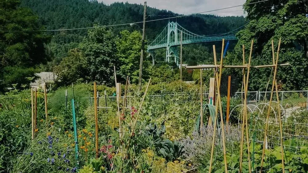 Portland Urban Farm