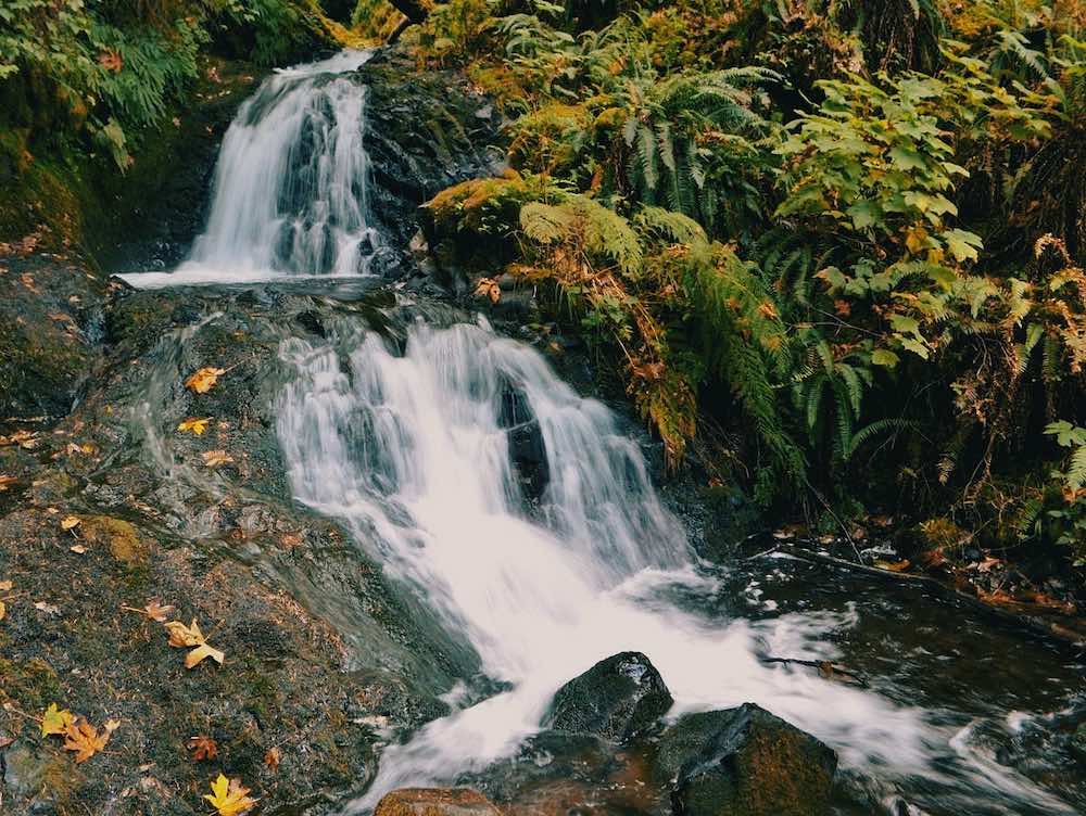 Sheppards' Dell Falls