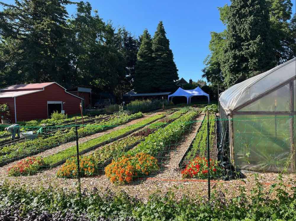 Side Yard Farm Portland