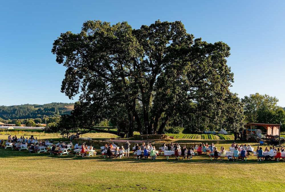 Embrace Urban Farming: A Rewarding Journey Through Portland’s Green Spaces