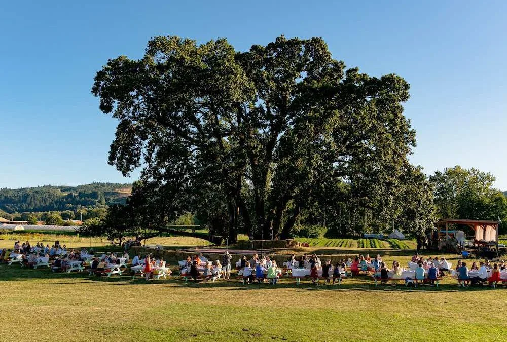 Embrace Urban Farming: A Rewarding Journey Through Portland’s Green Spaces