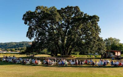 Embrace Urban Farming: A Rewarding Journey Through Portland’s Green Spaces