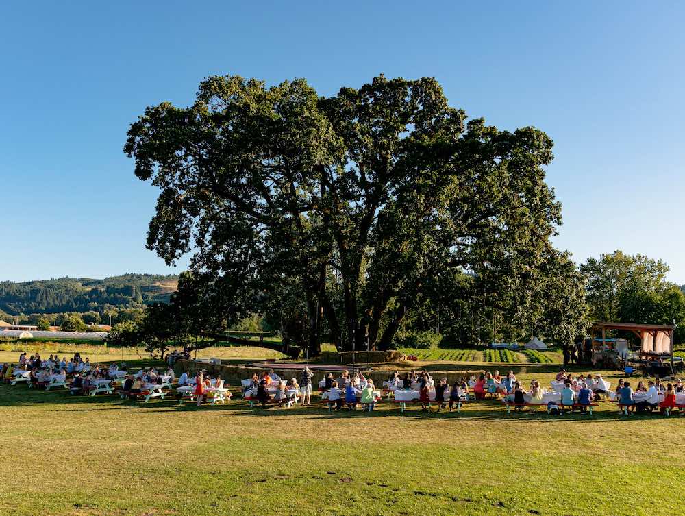 Topaz Farm farm to plate dinner 1