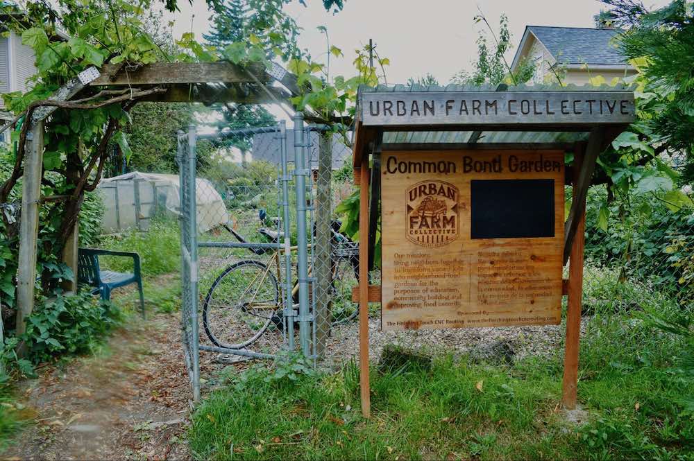 Urban Farm Collective