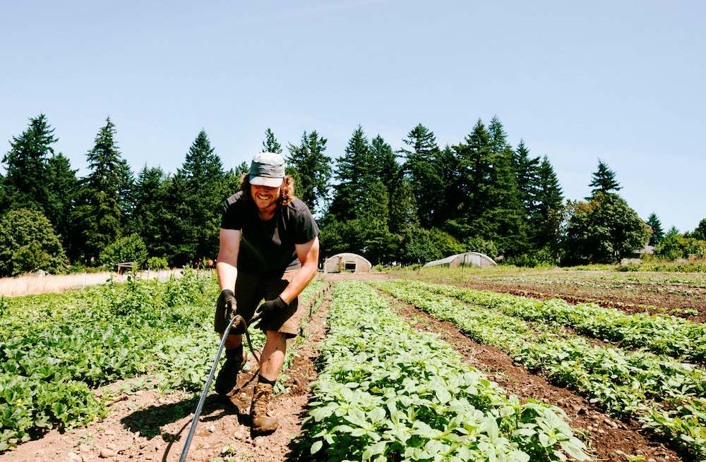 Zenger Farm