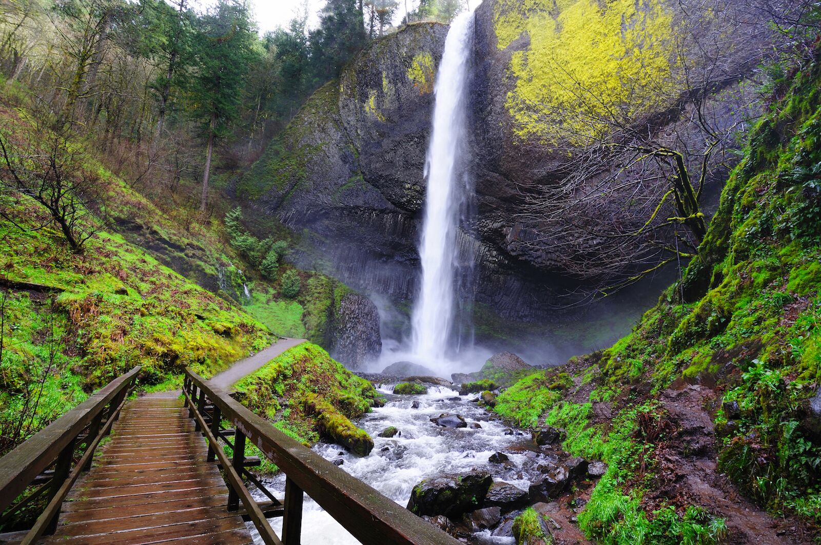 Multnomah Falls in Winter