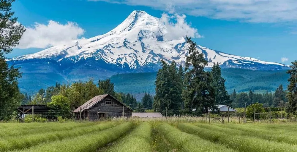 The Ultimate Guide For Best Weekend and Day Trips from Portland 12 image5 1