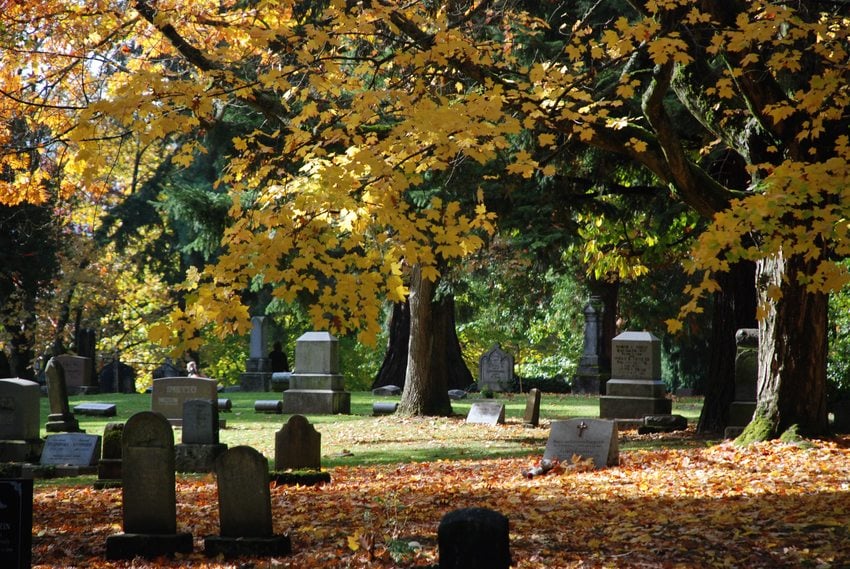 Lone Fir Cemetery autumn