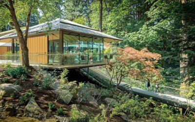 Visit The Best Tea Houses in Portland