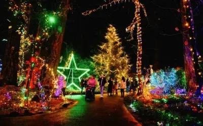 Join in the Festive Spirit of Portland’s Winter Celebrations